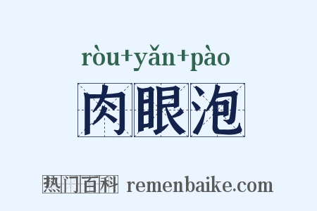 肉眼泡是什么意思的图片